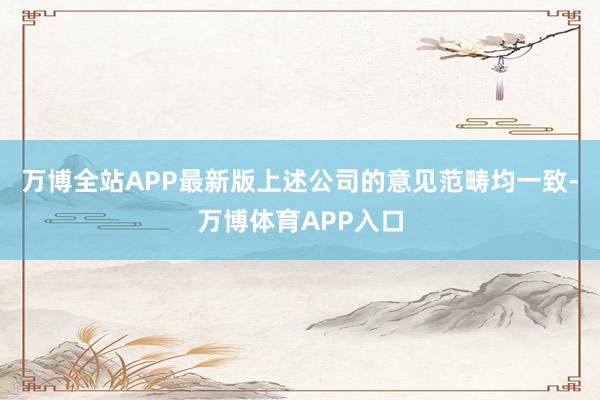 万博全站APP最新版上述公司的意见范畴均一致-万博体育APP入口