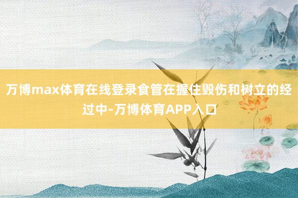 万博max体育在线登录食管在握住毁伤和树立的经过中-万博体育APP入口