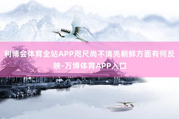 利博会体育全站APP咫尺尚不清亮朝鲜方面有何反映-万博体育APP入口
