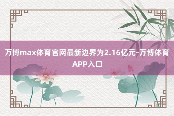 万博max体育官网最新边界为2.16亿元-万博体育APP入口