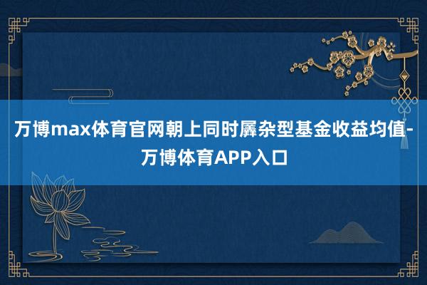 万博max体育官网朝上同时羼杂型基金收益均值-万博体育APP入口