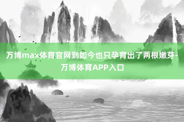 万博max体育官网到如今也只孕育出了两根嫩芽-万博体育APP入口