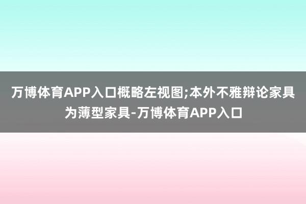 万博体育APP入口概略左视图;本外不雅辩论家具为薄型家具-万博体育APP入口