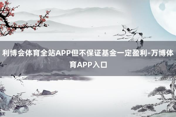 利博会体育全站APP但不保证基金一定盈利-万博体育APP入口