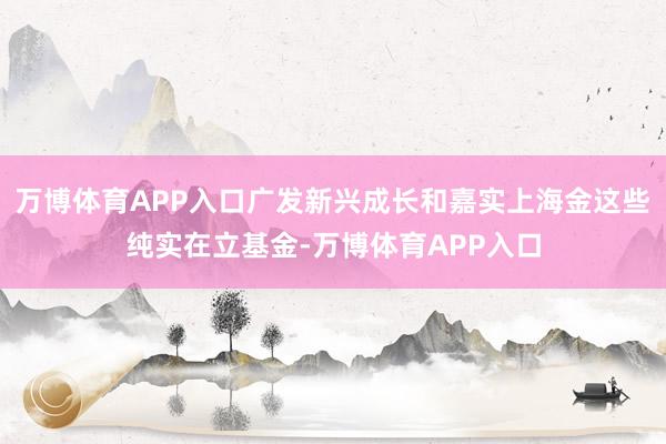 万博体育APP入口广发新兴成长和嘉实上海金这些纯实在立基金-万博体育APP入口