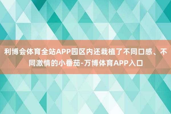 利博会体育全站APP园区内还栽植了不同口感、不同激情的小番茄-万博体育APP入口