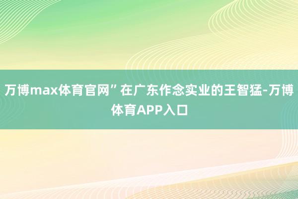 万博max体育官网”在广东作念实业的王智猛-万博体育APP入口